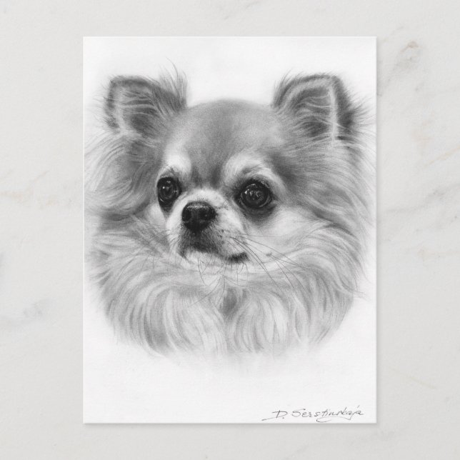Carte Postale Portrait Chihuahua Peint À La Main (Devant)