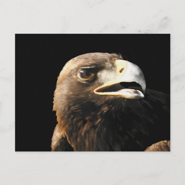 Carte Postale Portrait d'aigle doré (Devant)