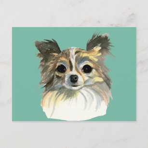 Carte Postale Portrait d'aquarelle Chihuahua Chien à cheveux lon