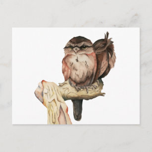 Carte Postale Portrait d'aquarelle des frères Owl