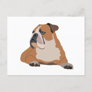 Carte Postale Portrait de Bulldog anglais