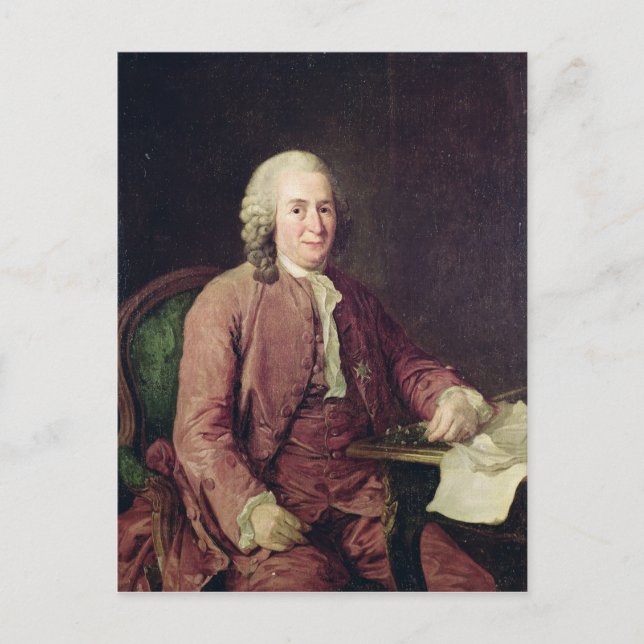 Carte Postale Portrait de Carl von Linnaeus (Devant)