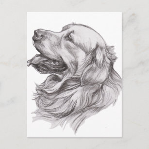 Cartes postales Dessin Noir Blanc Chien originales  Zazzle.fr