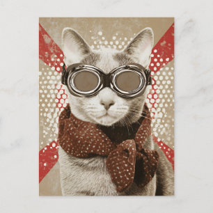 Carte Postale Portrait de chat au foulard et lunettes rétro sur