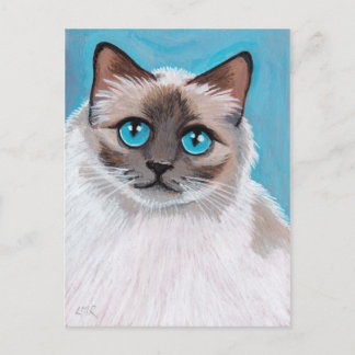 Carte postale Portrait de chat Blue Eyed Ragdoll