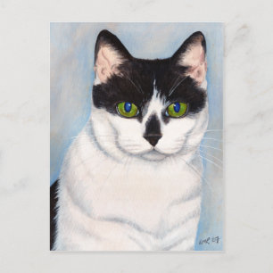 Carte postale Portrait de chat noir et blanc