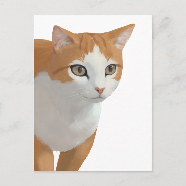 Carte Postale Portrait de chat orange et blanc (Devant)