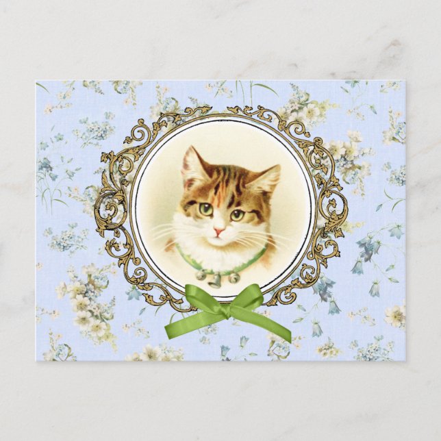 Carte Postale Portrait de chat vintage doux (Devant)