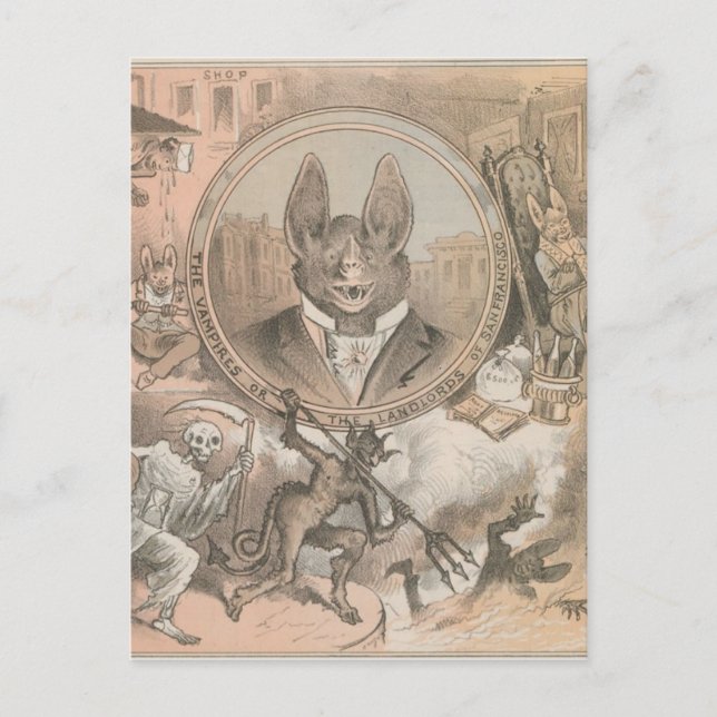 Carte Postale Portrait de chaume vampire (Devant)