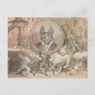 Carte Postale Portrait de chaume vampire