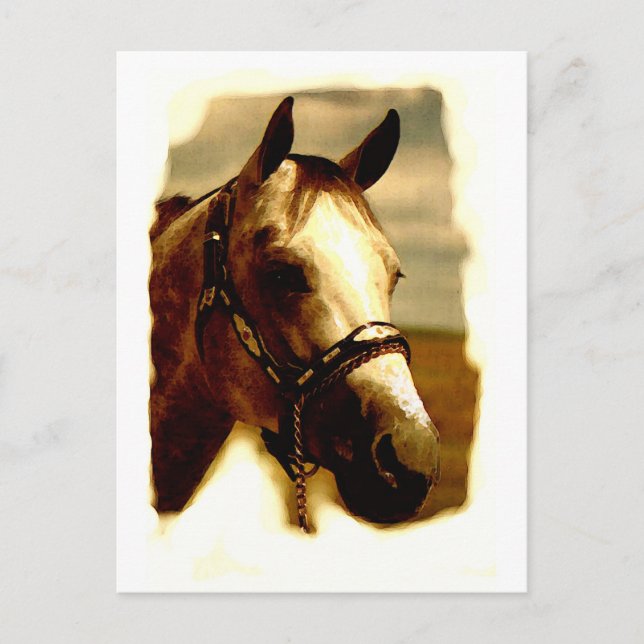 Carte Postale Portrait de cheval (Devant)