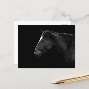Carte Postale Portrait de cheval