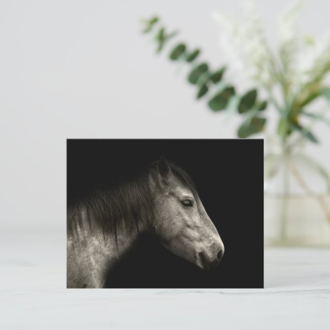 Carte Postale Portrait de cheval (Debout devant)
