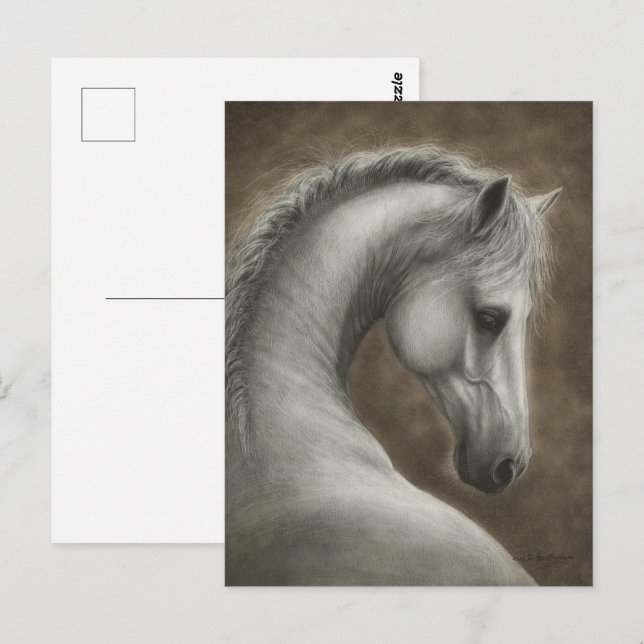 Carte Postale Portrait de cheval blanc peint à la main (Devant / Derrière)