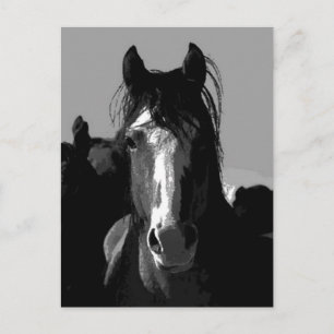Carte Postale Portrait de cheval noir et blanc