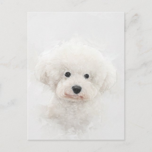 Carte Postale Portrait de Chien Bichon Frise (Devant)