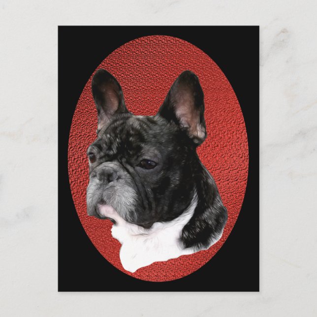 Carte Postale Portrait de French Bulldog (Devant)
