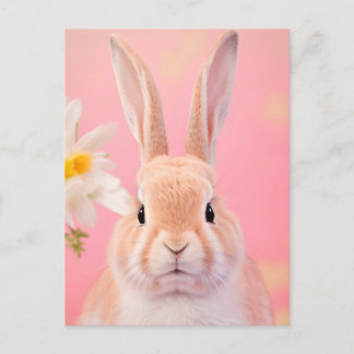Carte Postale Portrait de lapin 088