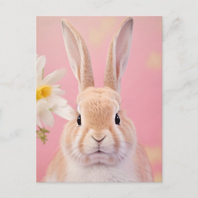Carte Postale Portrait de lapin 088 (Devant)
