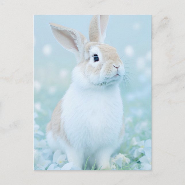 Carte Postale Portrait de lapin 095 (Devant)