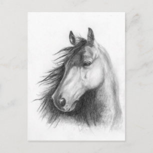 Carte postale portrait de Moe the Morgan