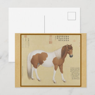 Carte Postale Portrait de poney Pinto - Ancienne peinture chinoi