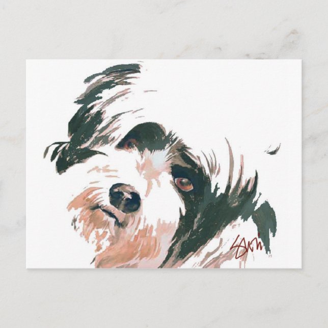 Carte Postale Portrait de Terrier tibétain (Devant)