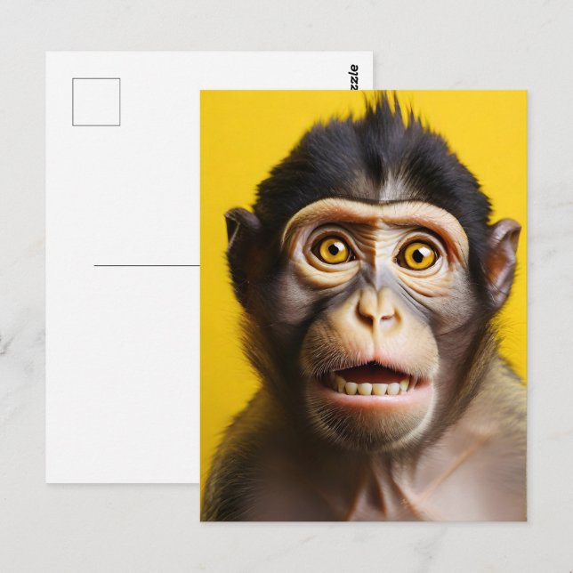 Carte Postale Portrait drôle de singe (Devant / Derrière)