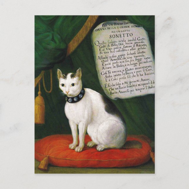 Carte Postale Portrait du chat Armellino (Devant)