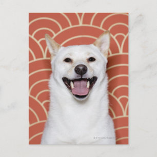 Carte Postale Portrait du chien 3