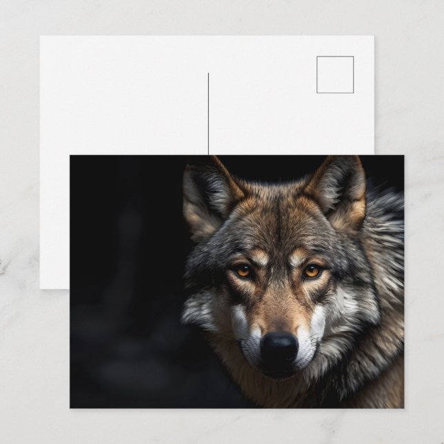 Carte Postale Portrait du loup (Devant / Derrière)