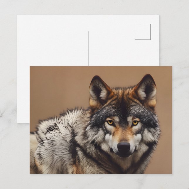 Carte Postale Portrait du loup (Devant / Derrière)