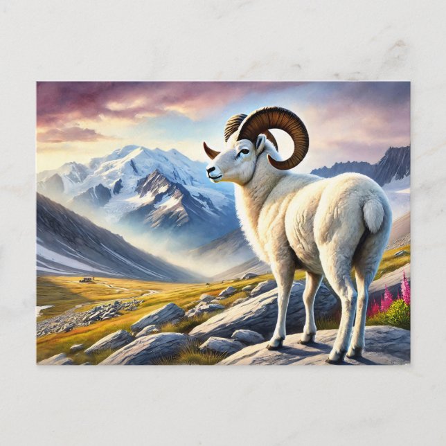 Carte Postale Portrait d'un bélier Majestic (Devant)