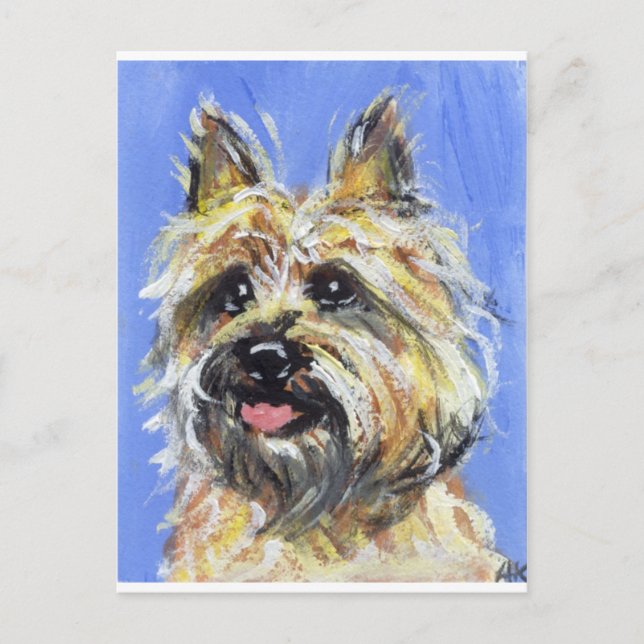 Carte Postale Portrait d'un Caire (Devant)