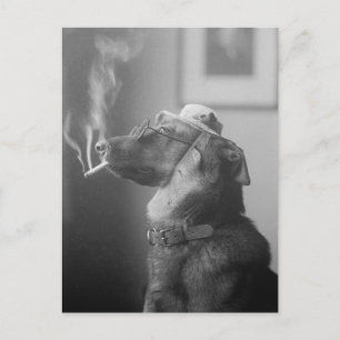 Carte Postale Portrait d'un chien, 1923