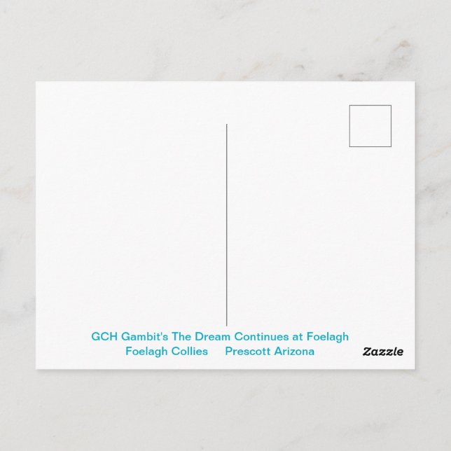 Carte Postale Portrait d'une colonne de sable brut (Dos)