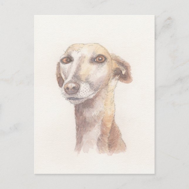 Carte Postale Portrait Greyhound (Devant)
