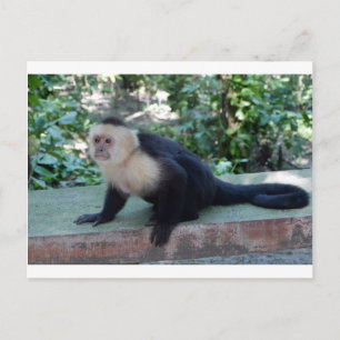 Carte Postale Portrait.JPG