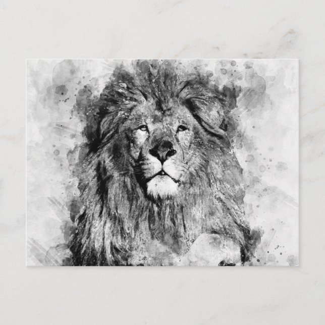 Carte Postale Portrait noir et blanc du lion mâle (Devant)