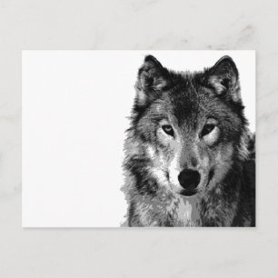 Carte Postale Portrait noir et blanc Wolf