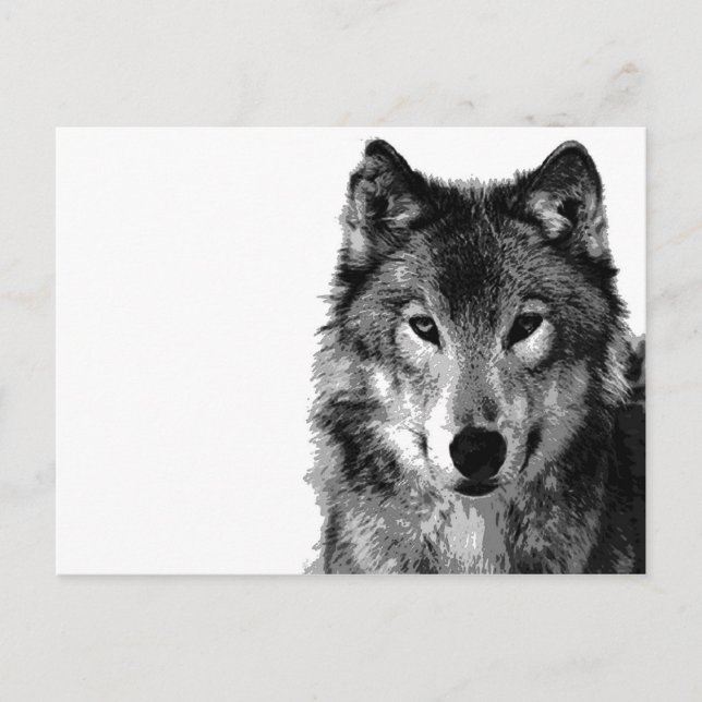 Carte Postale Portrait noir et blanc Wolf (Devant)
