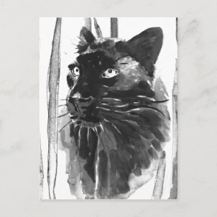 Carte Postale Portrait Panther