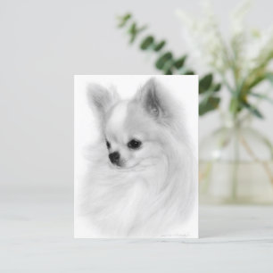 Carte Postale Portrait peint à la main de Chihuahua Poisé