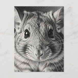 Carte Postale Portrait Réaliste de Chinchilla au Crayon