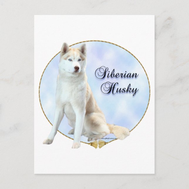 Carte Postale Portrait sibérien Husky (Devant)