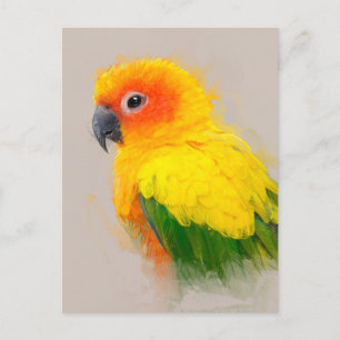 Carte Postale Portrait Sun Conure 001