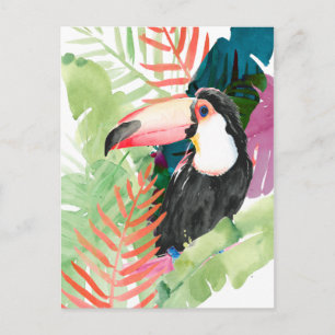 Carte Postale Portrait toucan avec Feuilles tropicaux