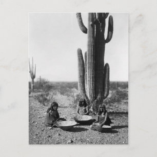 Carte Postale Portrait Vintage amérindien