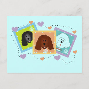 Carte Postale Portraits de chiens T-shirts et cadeaux