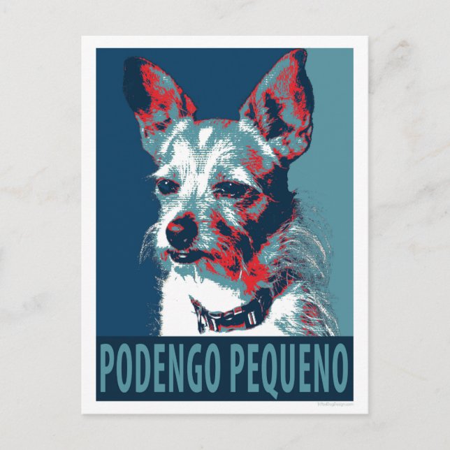 Carte Postale Portugais Podengo Pequeno par Hope Dogs (Devant)